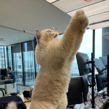 Hako-Quant · GitHub