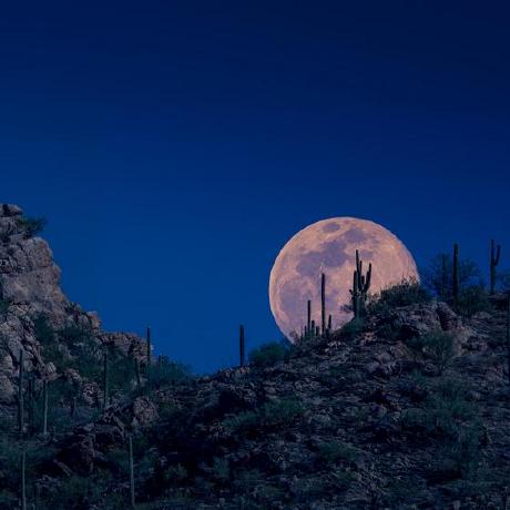 Github Mattmcfarland Waregen X4 Ware Generator - High Resolution Nature Photos for Desktop