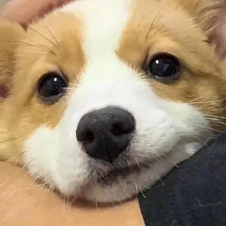 Hurricane Github - City Designs - Creative Ultra HD Collection