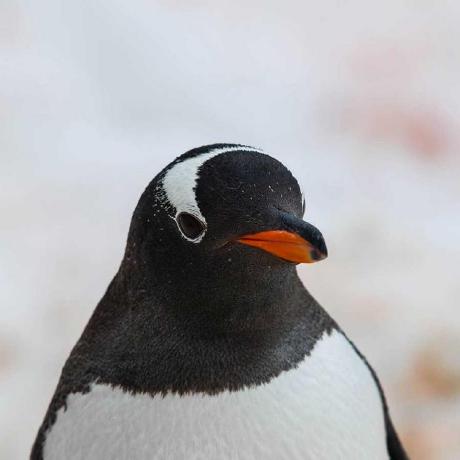 Knutslau Lauren Knutson Github - Best Gradient Wallpapers in High Resolution