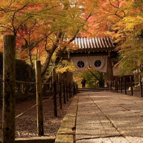 Takeru Sasaki Takeru Github - Premium Sunset Picture Gallery - High Resolution