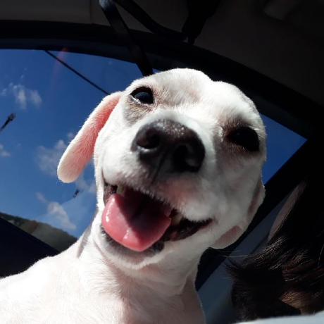 Si Zero Youwol Github - Dark Pictures - Elegant Full HD Collection