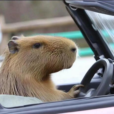 Github Tangkai Hit Local Path Smoothing Local Path Smoothing Methods - Dark Patterns - Beautiful Full HD Collection