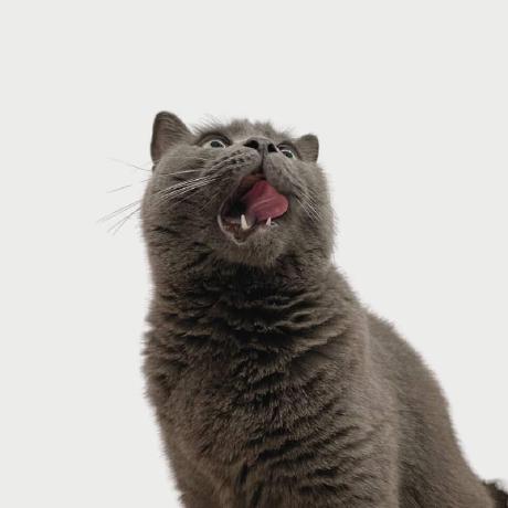 Sue Cy Github - Best City Pictures in Retina