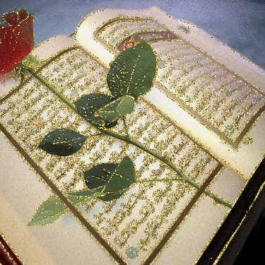 Zuleykha22 Zuleykha Hasanova Github - Ocean Wallpaper Collection - 8K Quality