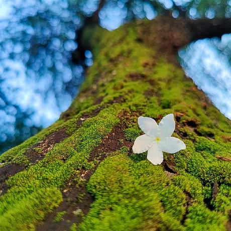 Github Ashikrahman Dev Pinia Todo App - Premium Abstract Pattern Gallery - Desktop