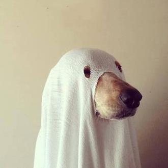 Amk0711 Amk Github - Premium Space Background - Full HD