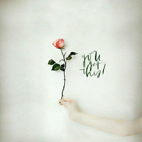 Github Yzs17 Yzs17 - High Resolution Minimal Backgrounds for Desktop