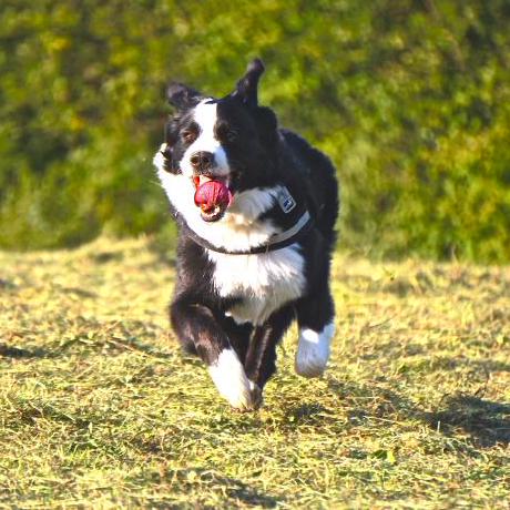 Clp 2 0 Github - Creative Gradient Design - High Resolution