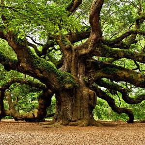 Pirokiki Piotr Rokicki Github - Mobile Ocean Wallpapers for Desktop