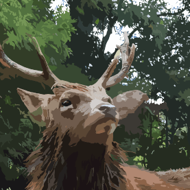 Nikonosfive Niko One Github - Artistic Vintage Texture - Retina