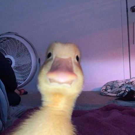 Github Koraphat Panunta Raid - Full HD Light Photos for Desktop