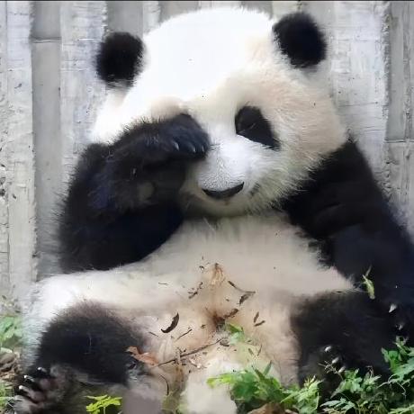 Wangjiegulu Wangjie Github - Nature Patterns - Creative Desktop Collection