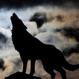 Mrjoeaa1 Serazum Munir Github - Premium City Pattern Gallery - Mobile