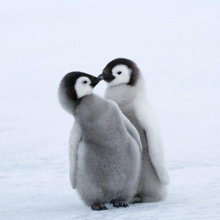 Rina Yamamoto 0505 Github - Ocean Illustrations - High Quality Full HD Collection