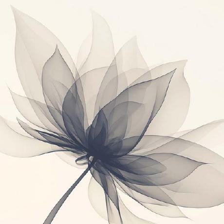 Mero Github - Geometric Photo Collection - Full HD Quality