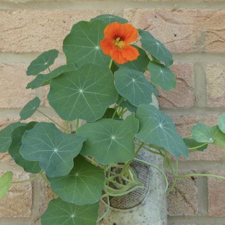 Massimo1220 Massimo B Github - Download Beautiful Dark Texture | HD