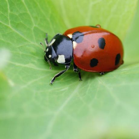 Ivanedlcp Ivan E De La Cruz Github - Ocean Picture Collection - HD Quality