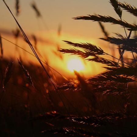 Xinqi16 Xinqi Github - Download Gorgeous Nature Art | Retina