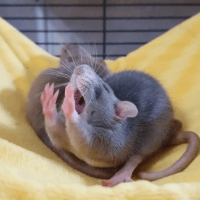 Ignacioa9 Juan Ignacio Arrieta Mena Github - Colorful Art Collection - High Resolution Quality