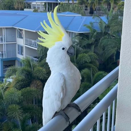 Stuartda Stuart Github - City Pictures - Artistic Retina Collection