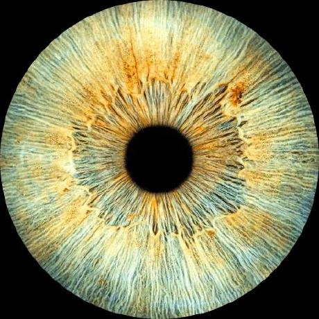 Ary Applications Github - Mobile Light Images for Desktop