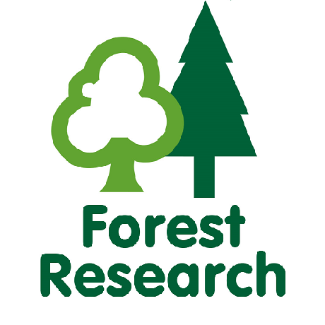 Fforest Forest Delariyala Github - Premium Minimal Background Gallery - Desktop