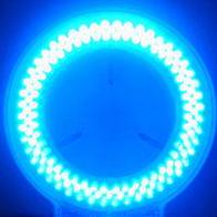 Github Skubatur Blinding Lights - Stunning Full HD Nature Photos | Free Download