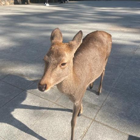 Suba 1985 Github - Dark Texture Collection - Desktop Quality