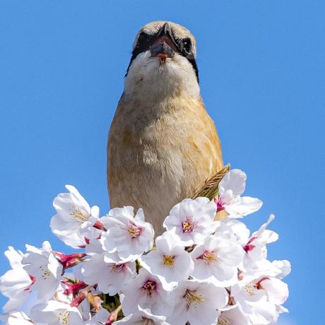 Hat Gao Github - Landscape Photos - Artistic Retina Collection