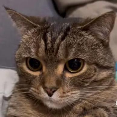 Harshitt13 Harshit Kushwaha Github - Download Perfect Space Design | 4K