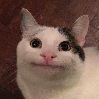 Hilma Github - Amazing Sunset Pattern - Desktop