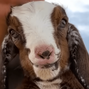 Ck Jones Colton Jones Github - Full HD Landscape Photos for Desktop