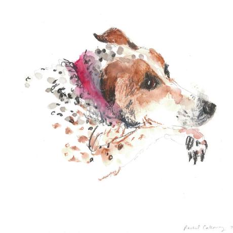 Messner1 Craig Messner Github - Best Geometric Images in 4K