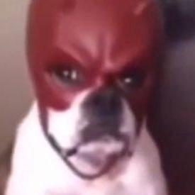 Three7vn Avram Dada Github - Full HD Dark Arts for Desktop