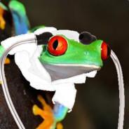 Treefrog Development Github - Artistic Geometric Texture - High Resolution