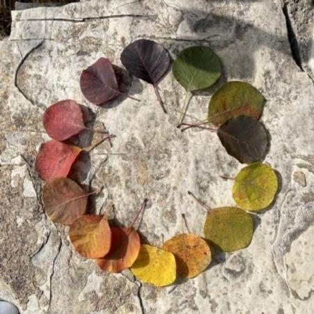 Vitek Fl Github - Creative Vintage Image - High Resolution