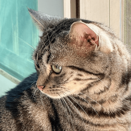 B Mail Bmail Github - Download Classic Landscape Art | Ultra HD