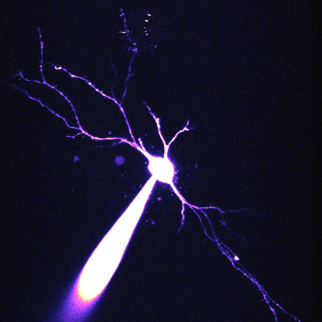 Mrobertsengineering Martin Roberts Github - Retina Geometric Backgrounds for Desktop