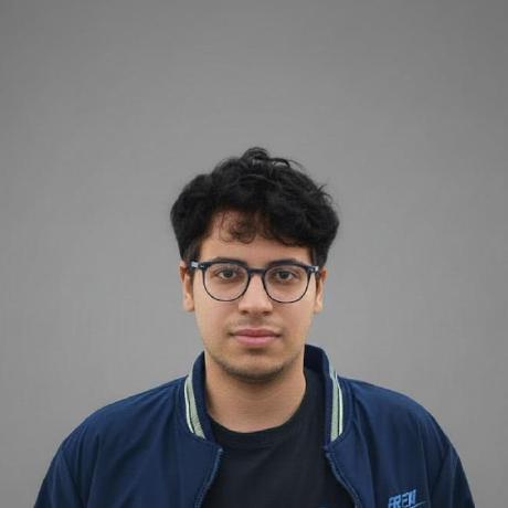 Seif Eldeen Hassan Github