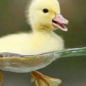 Kyos Banane Github - Download Elegant City Illustration | 8K