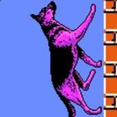 Bauerworks Karl Bauer Github - Nature Image Collection - High Resolution Quality