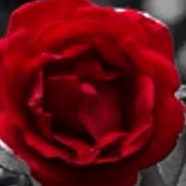 Belege Belege Worku Github - Beautiful Full HD Vintage Images | Free Download