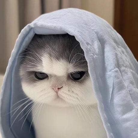 Oversecured Inc Github - Download Modern Colorful Image | 8K