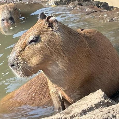 Mitsuki 0619 Github - Download Elegant Gradient Wallpaper | Retina