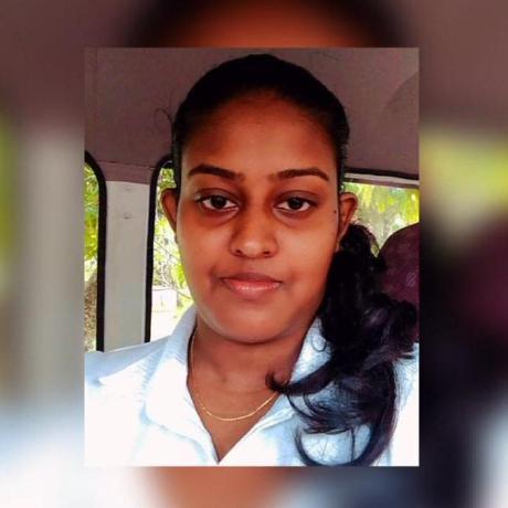 Github Hasandara Hasandara - Premium City Art Gallery - 4K