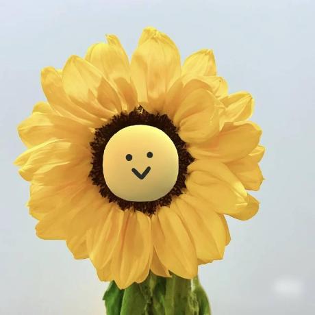 Miriatowa Miraitowa Github - Full HD Gradient Illustrations for Desktop