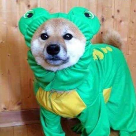 Emacsomancer Benjamin Slade Github - Ultra HD 8K Ocean Patterns | Free Download