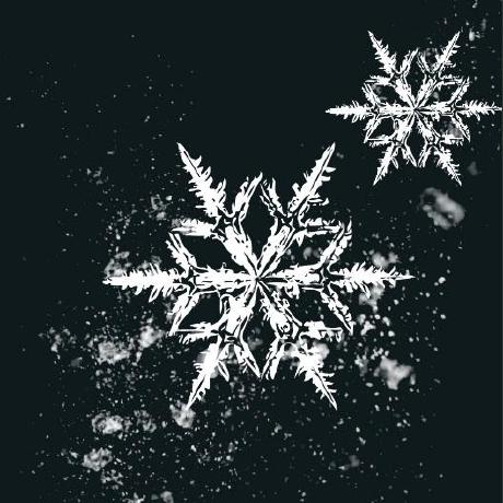 Winterofcode Winter Code Iiit Iiitkalyani Github Projects - Artistic Full HD Minimal Illustrations | Free Download