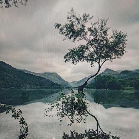 Vaidehi Collab Vaidehi De Github - Download Premium Light Image | Desktop